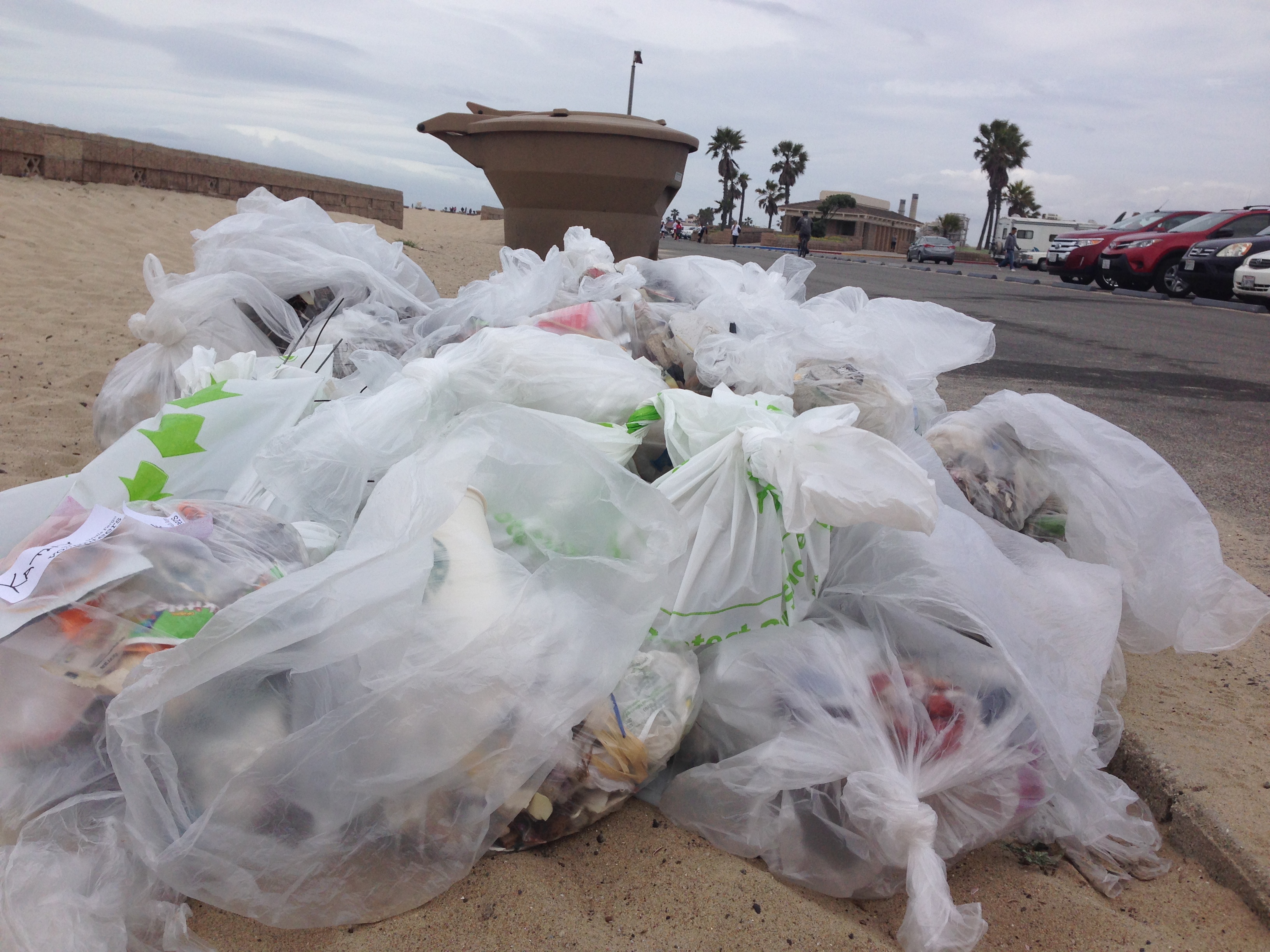 Bags of trash from beach clean up