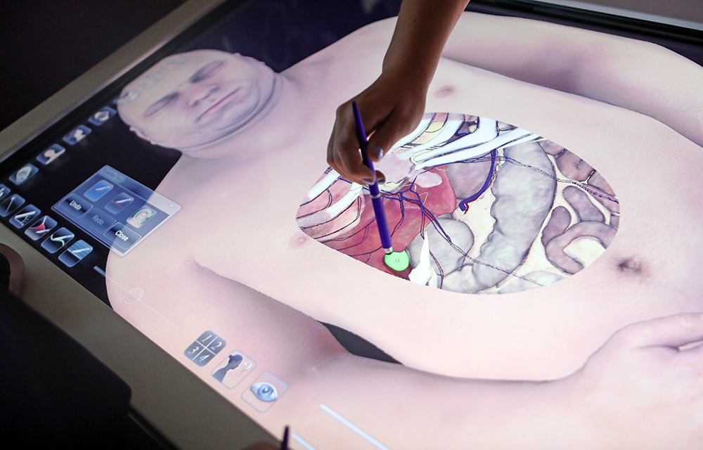 a student performs a simulated surgery on an interactive screen