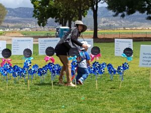 A blue pinwheel garden, planted to generate awareness of child abuse and prevention