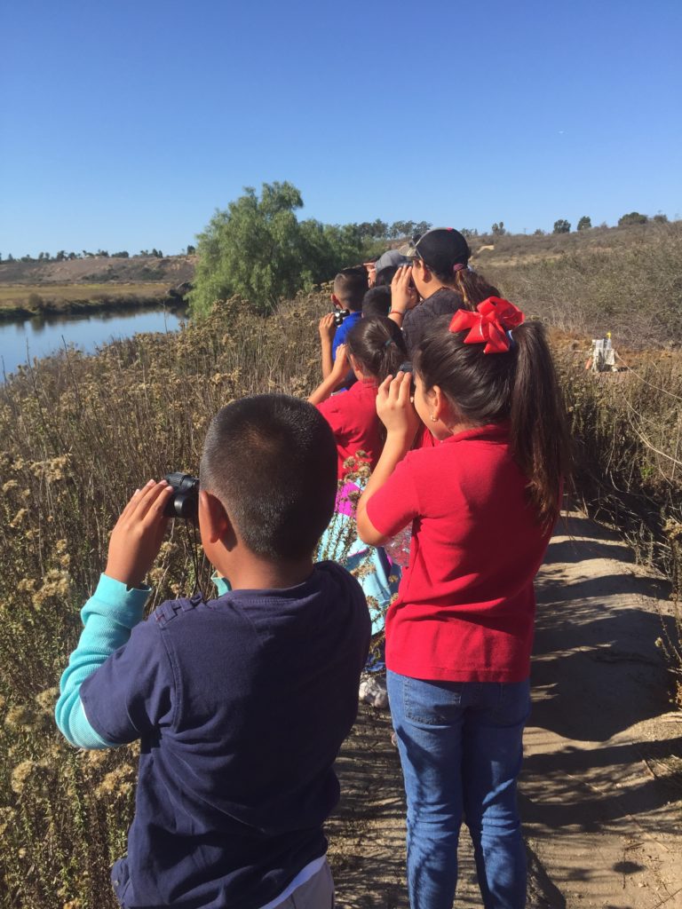 Students visiting wetlands