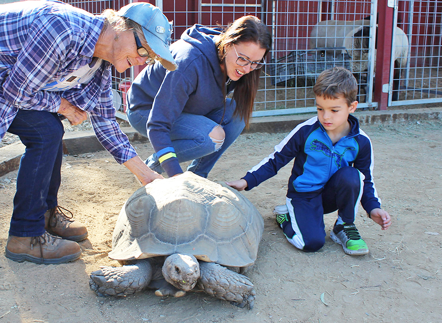 students and adult pet a turtle