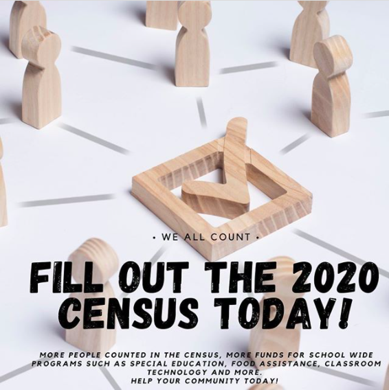 Census graphic