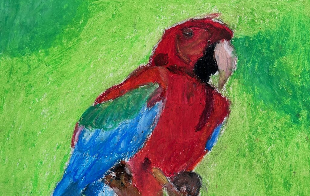 The Vibrant Parrot oil pastel piece by student Abisai Medina