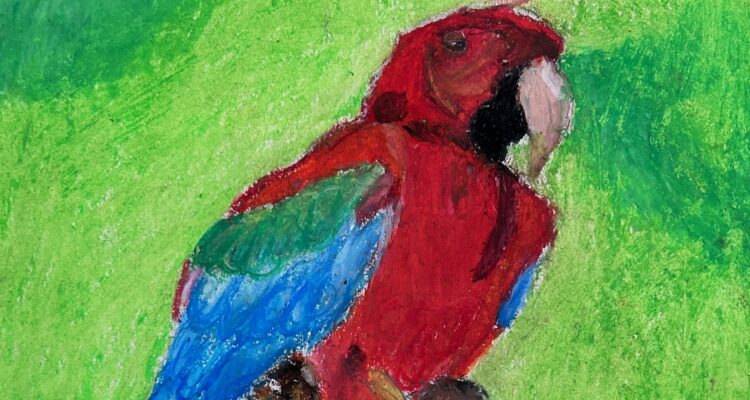 The Vibrant Parrot oil pastel piece by student Abisai Medina