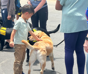 WATCH: Pup stars take center stage in Ocean View School District during Service Dog Day event