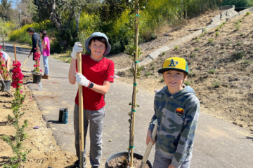 Oxford Preparatory Academy students' plant trees on service day