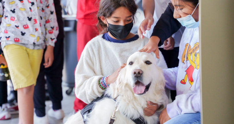 Support Dogs Mitchell Elementary School