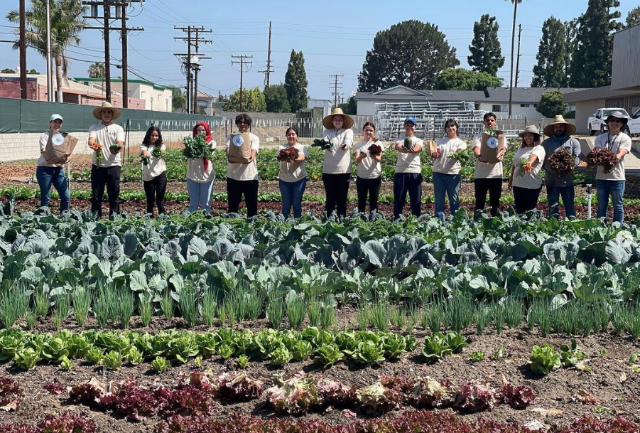 AUHSD MACC Farm