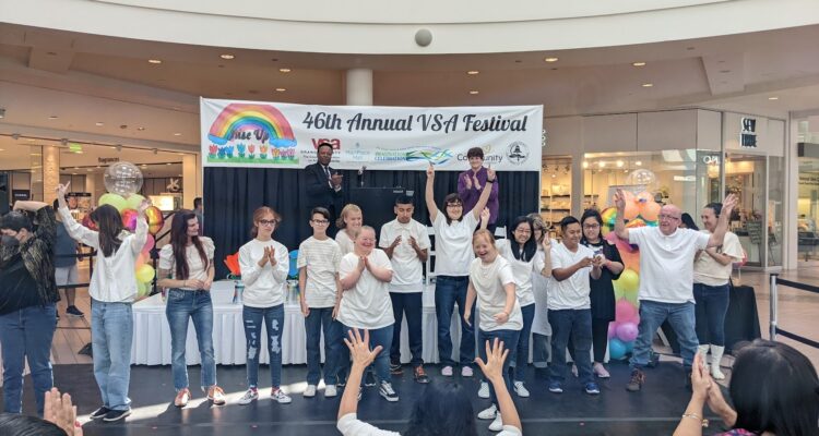 46th annual VSA Festival