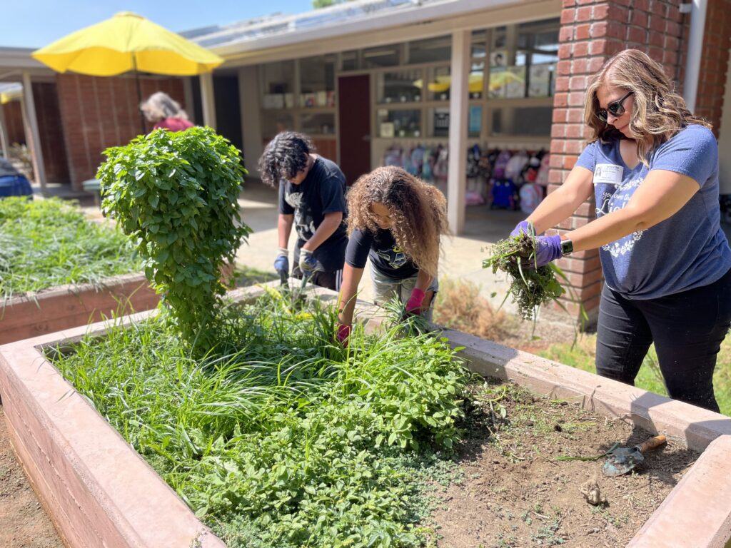 Fullerton School District staff in the Rising Stars program help Richman Elementary students tend to their campus garden.