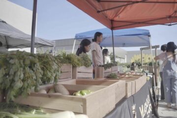 Magnolia High School students sell fresh produce to community members at the MACC Farm Berry Festival on July 13. (Anaheim Union High School District)