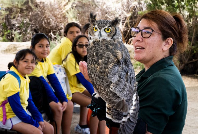 Teresa Garcia holds “Kevin Owlexander”, a great horned owl during Camp Cove at Crystal Cove State Park in Laguna Beach, CA on Wednesday, July 24, 2024. The Orange County Department of Education’s Inside the Outdoors program brought several animals for students to see and touch. (Photo by Paul Bersebach, Orange County Register/SCNG)