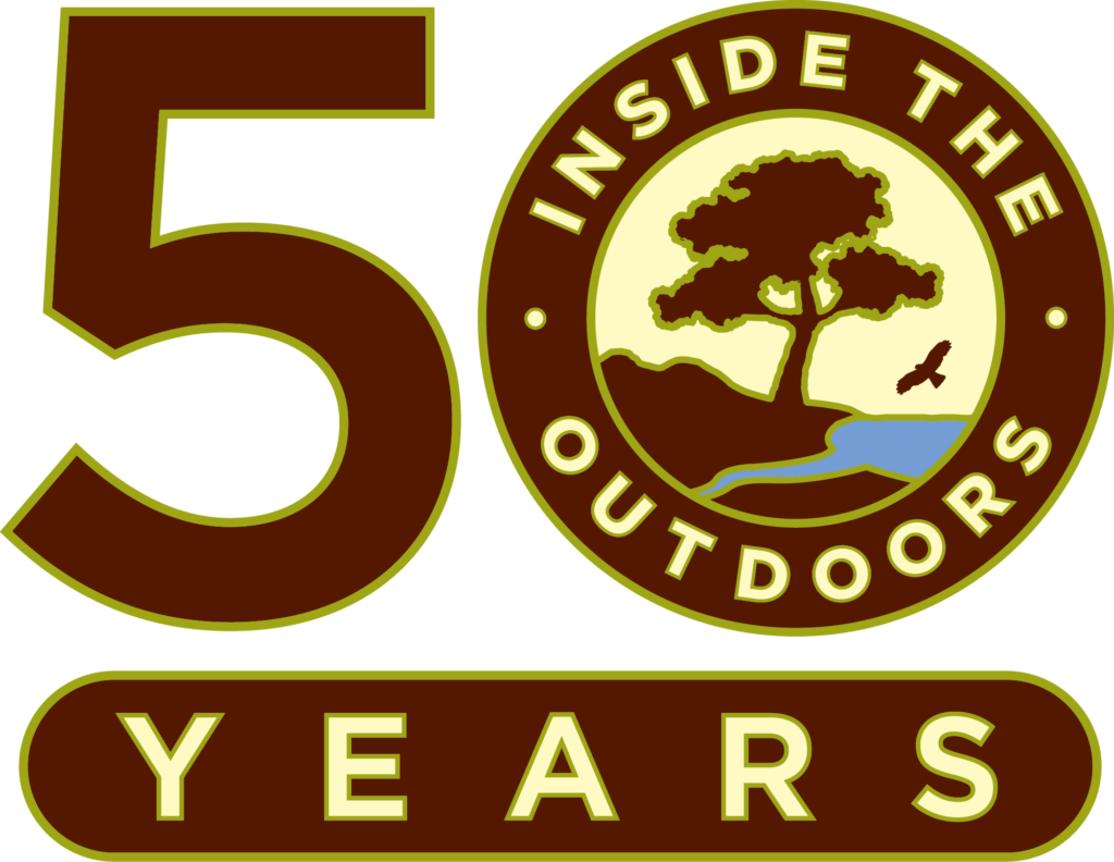 ITO's simple 50th anniversary logo