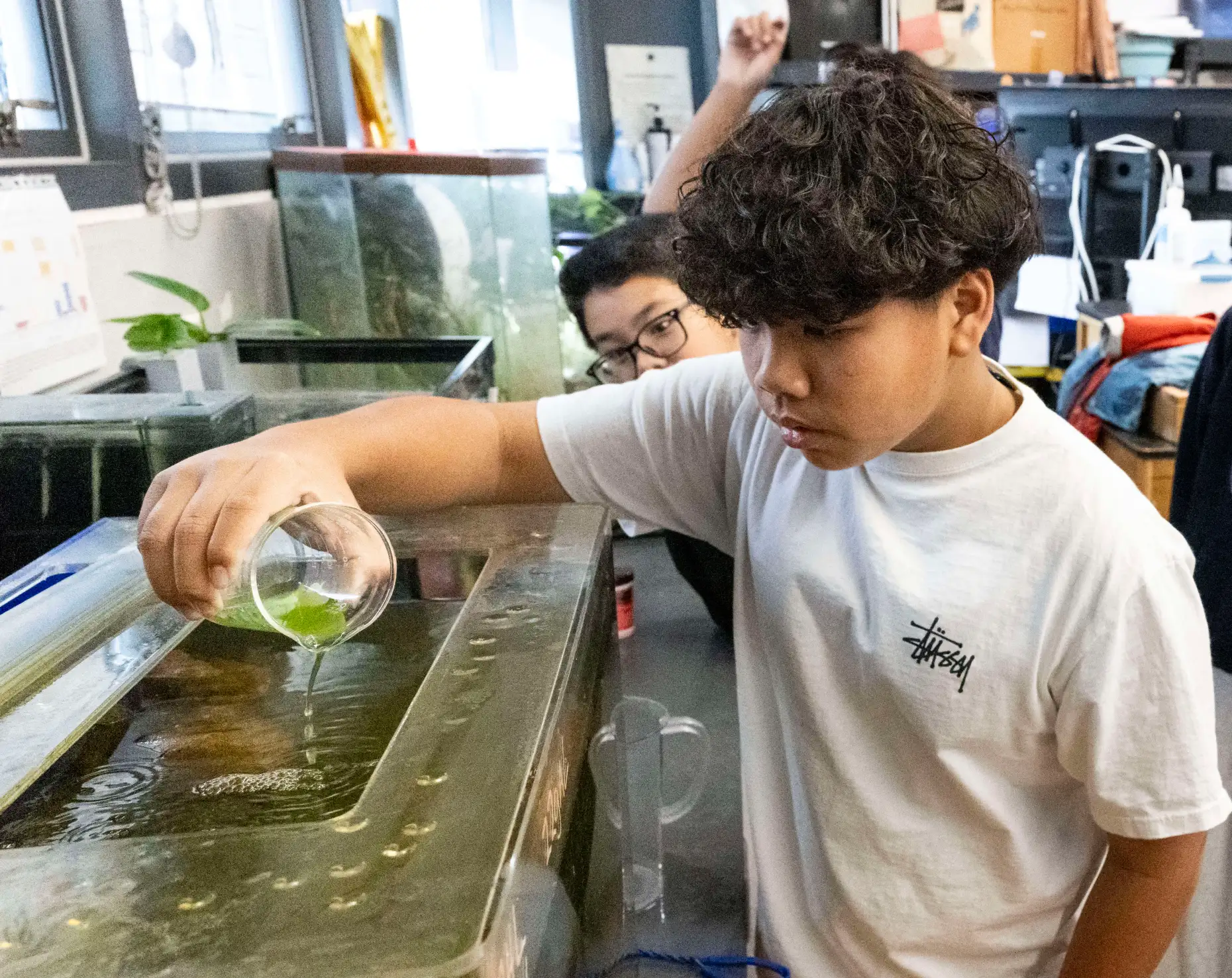 Warner Middle School students feed green algae to Pismo clams for their classroom project. (Paul Bersebach / Orange County Register)