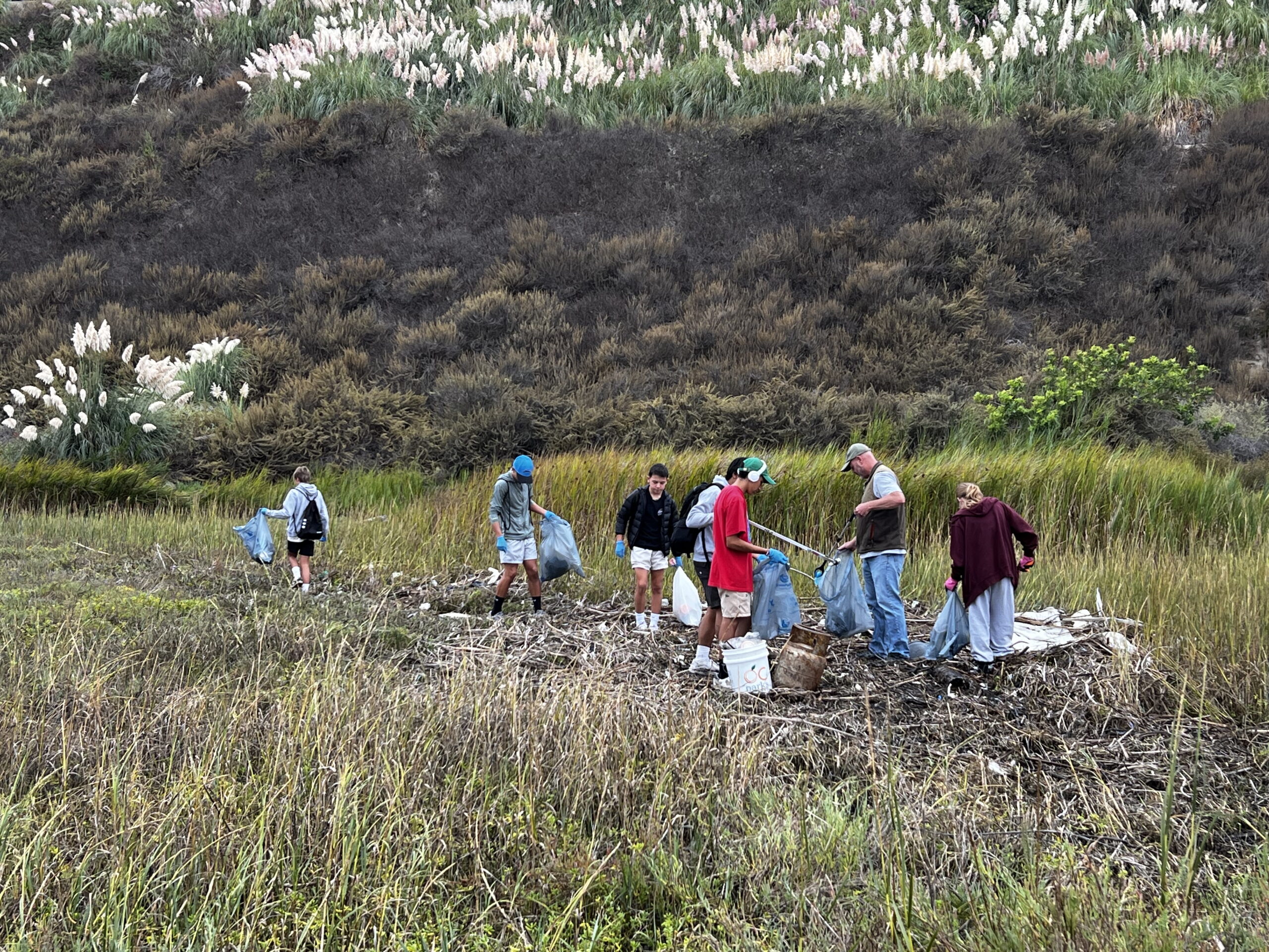 Volunteers collect debris during the 2024 California Coastal Cleanup Day at Upper Newport Bay.