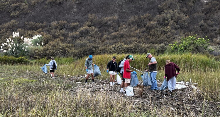 Volunteers collect debris during the 2024 California Coastal Cleanup Day at Upper Newport Bay.