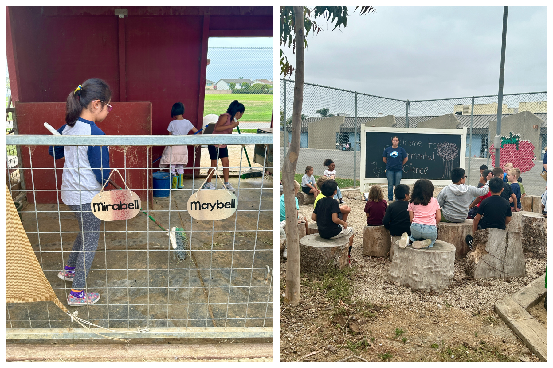 A two-image collage shows students participating in hands-on learning at Golden View Elementary: on the left, students clean an animal pen; on the right, a group of students sit on logs while listening to an outdoor environmental science lesson.