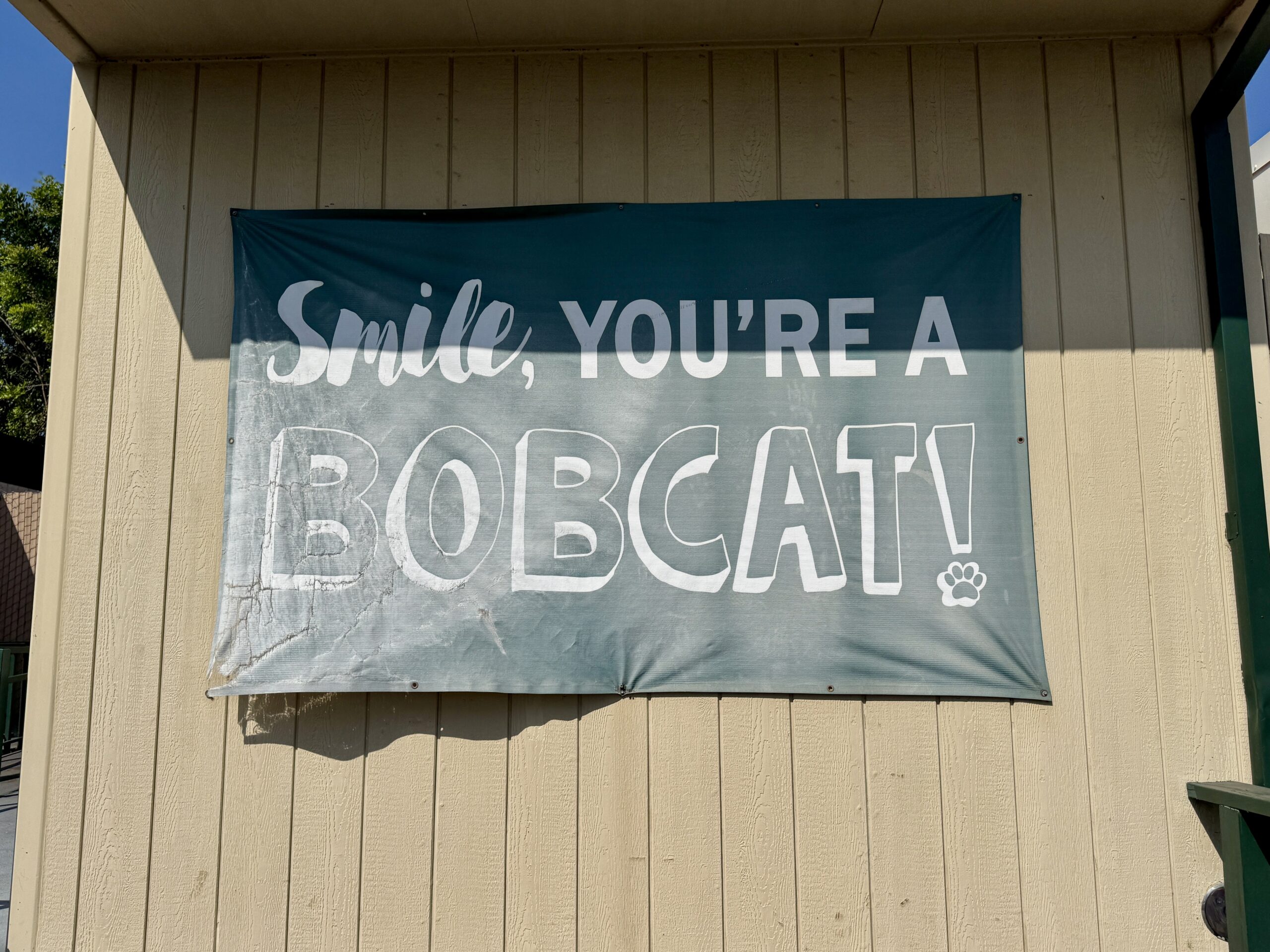 A banner at Beechwood School in the Fullerton Unified School District encourages student to take pride in their school mascot, the bobcat.