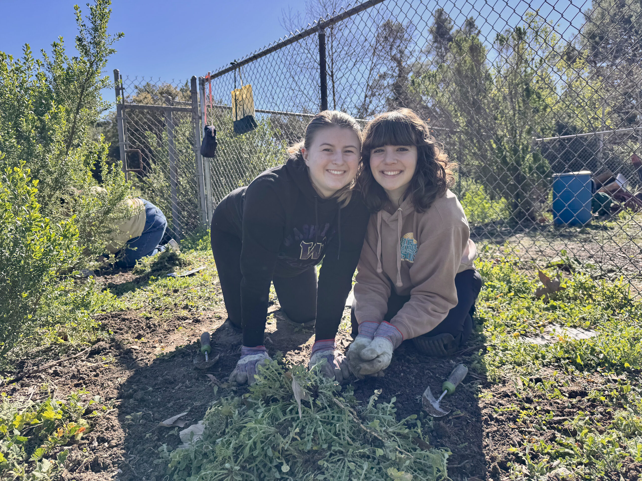 Two volunteers take part in a habitat restoration event hosted by OCDE’s Inside the Outdoors program, helping remove invasive plants and support native ecosystems at a regional park.