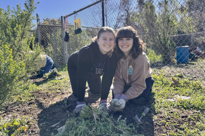 Two volunteers take part in a habitat restoration event hosted by OCDE’s Inside the Outdoors program, helping remove invasive plants and support native ecosystems at a regional park.