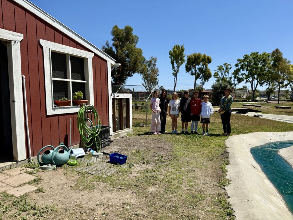 OC Impact School: At Golden View Elementary, hands-on learning grows from farm to classroom