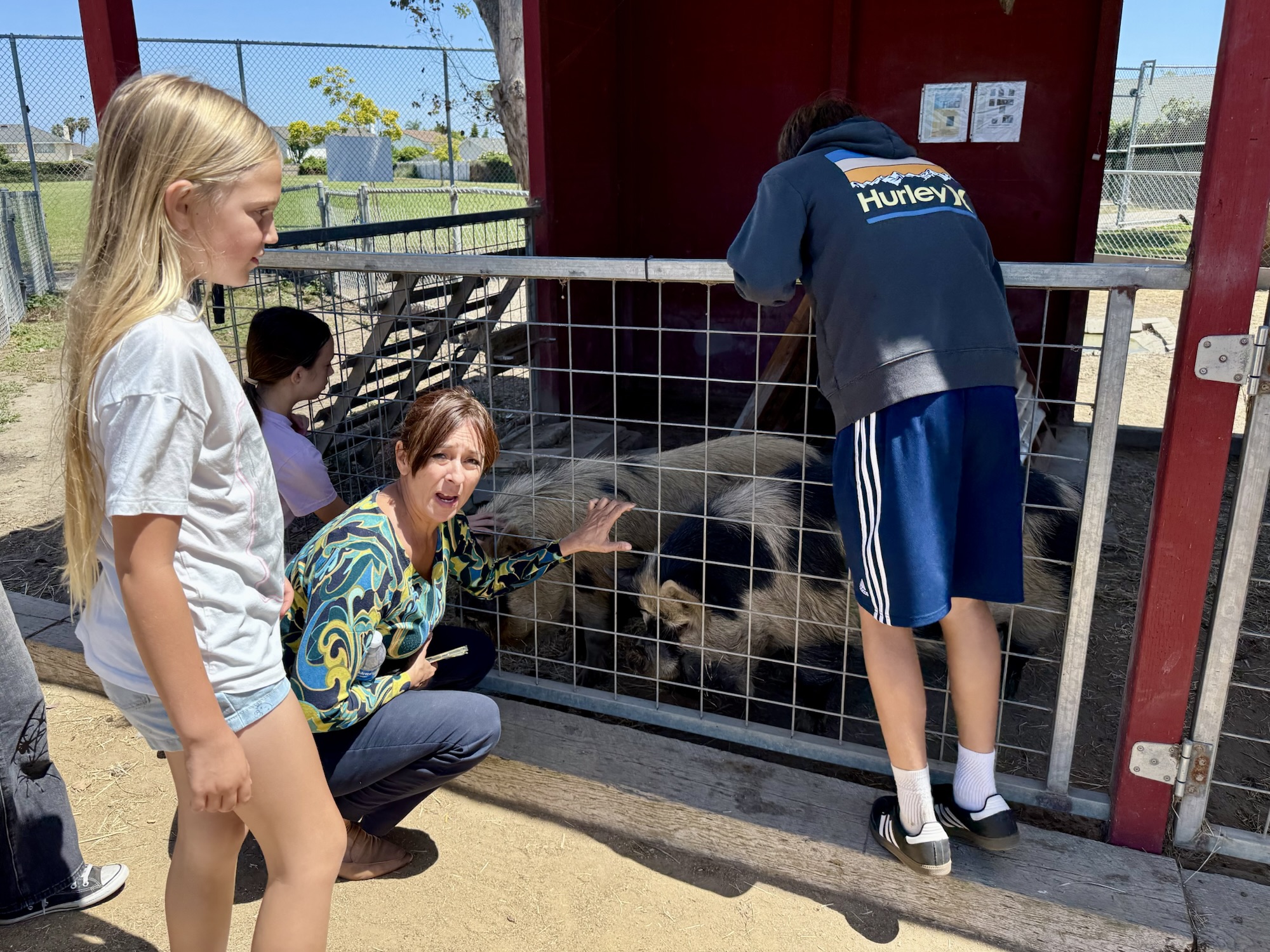 Principal Venus Moeller and students interact with pigs inside a pen at Golden View Elementary’s school farm.