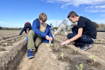 Two students kneel in a farm field planting young seedlings while other participants work in rows behind them under a blue sky.